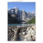 Driftwood, Blank Grey Card (Devant)