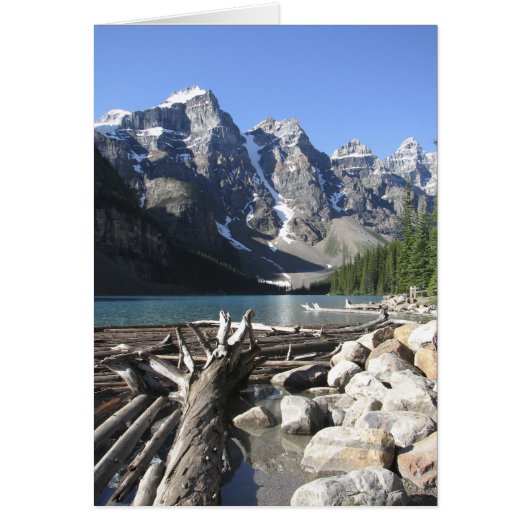 Driftwood, Blank Grey Card (Devant)