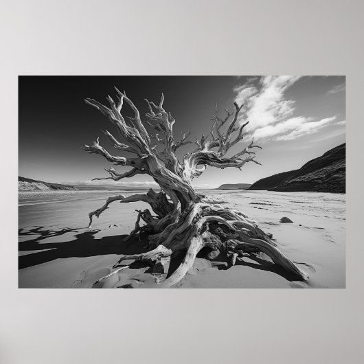 Driftwood boomstam B&W foto Poster (Voorkant)