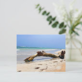 Driftwood Briefkaart (Staand voorkant)