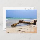 Driftwood Briefkaart (Voorkant / Achterkant)