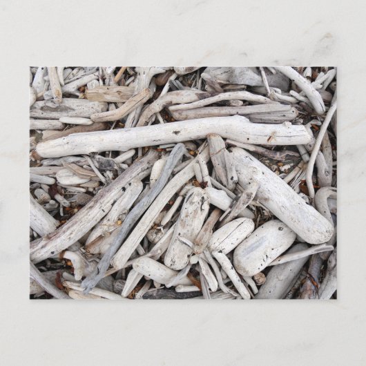 Driftwood Briefkaart (Voorkant)