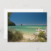 Driftwood Briefkaart (Voorkant / Achterkant)