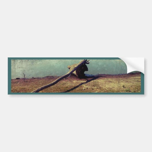 Driftwood Bumpersticker (Voorkant)