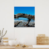 Driftwood Coast Beach Natuur Foto Poster (Keuken)