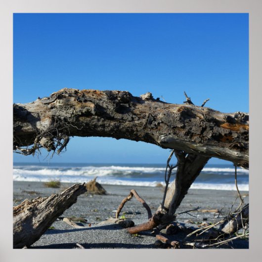 Driftwood Coast Beach Natuur Foto Poster (Voorkant)