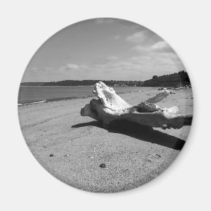 Driftwood Discovery Park Magneet