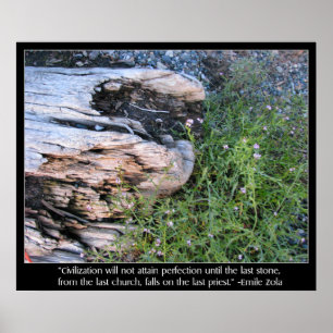 Driftwood en Zola Quote Poster