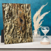 Driftwood Fotoplaat (Zijkant)