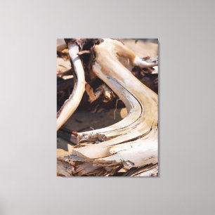 Driftwood - Foto's van Rocks National Lakeshore Canvas Afdruk