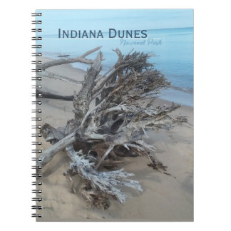 Driftwood Indiana Dunes National Park Magnet Post Notitieboek