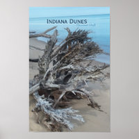 Driftwood Indiana Dunes National Park Magnet Post
