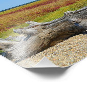 Driftwood Marsh Photo Print Foto Afdruk (Hoek)