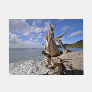 driftwood op de korte ijskast van Frans strand Deurmat