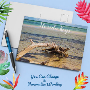 Driftwood op Florida Keys Beach Briefkaart