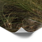 Driftwood Poster (Hoek)