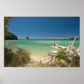 Driftwood Poster (Voorkant)