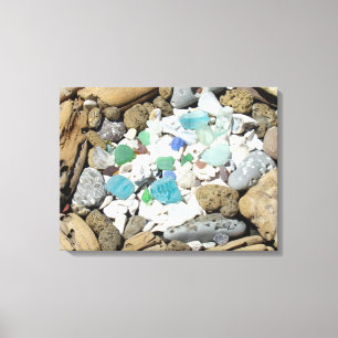 Driftwood Rock Garden Canvas art Seashells Beach