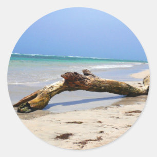 Driftwood Ronde Sticker