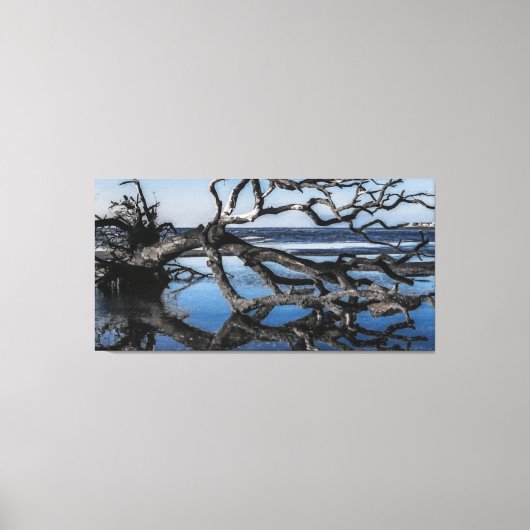 Driftwood Tree Beach in Beaufort SC Canvas Afdruk (Voorkant)