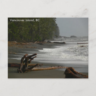 Driftwood Vancouver Island, BC Briefkaart