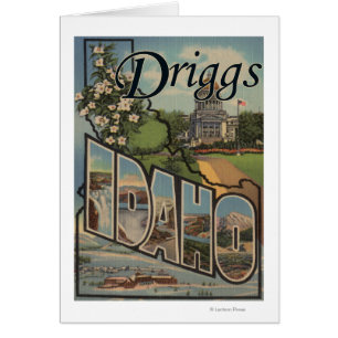 Driggs, lettre ScenesDriggs, identification