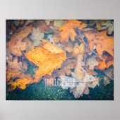 Drijfherfstbladeren Poster (Voorkant)