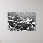 Drijfhout Canvas Afdruk (Voorkant)