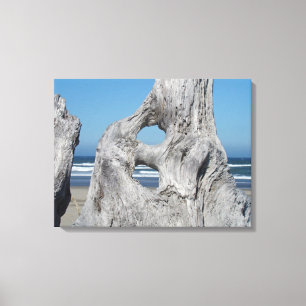 Drijfhout Canvas Fotografie afdrukken Kust