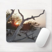 Drijfhout op het strand met zonsondergang muismat (Met muis)
