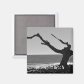 drijfhout strandmagneet magneet (Voorkant / Achterkant)