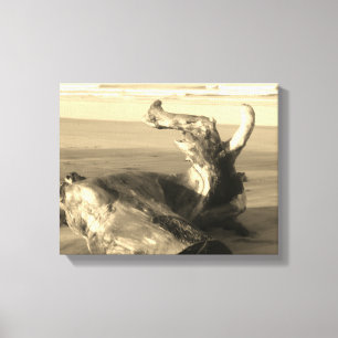 Drijfhoutstam Costa Rica Strand Foto Canvas Afdruk