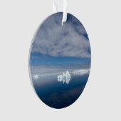 Drijfijs in Antarctica Ornament (voorkant)