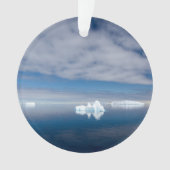 Drijfijs in Antarctica Ornament (voorkant)