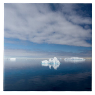 Drijfijs in Antarctica Tegeltje
