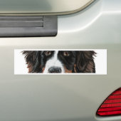 Drijven Bumpersticker (Op auto)