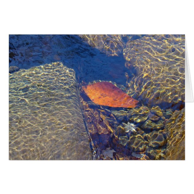 drijven door (Voorkant Horizontaal)