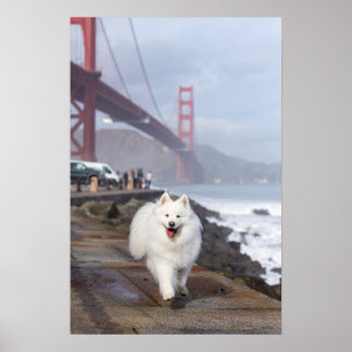 Drijven door Golden Gate Bridge Poster
