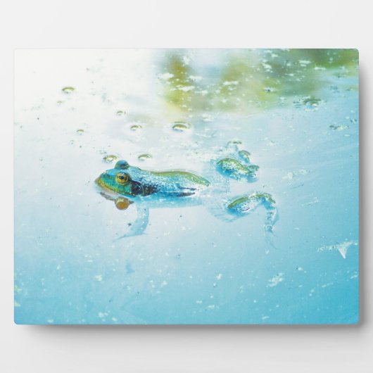 drijven fotoplaat (Voorkant)