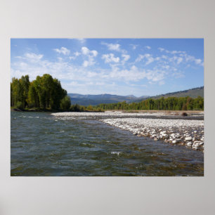 Drijven langs de Snake River I Poster