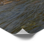 Drijven langs de Snake River II Poster (Hoek)