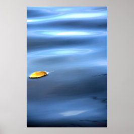 Drijvend blad op water # 111 poster