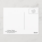 drijvend hart briefkaart (Achterkant)