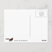 Drijvend langs de Snake River I Briefkaart (Achterkant)