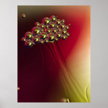 Drijvende Abstracte Bellen Kleurrijke Achtergrond