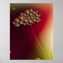 Drijvende Abstracte Bubbels Kleurrijke achtergrond