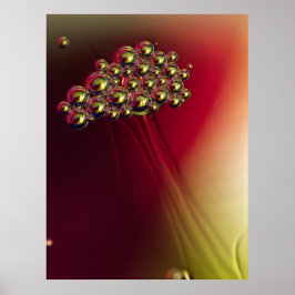 Drijvende Abstracte Bubbels Kleurrijke achtergrond Poster