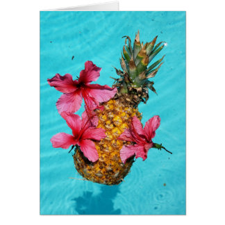 Drijvende ananas en Hibiscus