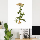 Drijvende baard  Botanisch Poster (Thuiskantoor)