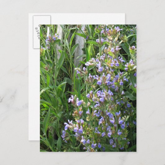 Drijvende blauwe grijze blanco Briefkaarten (Voorkant / Achterkant)